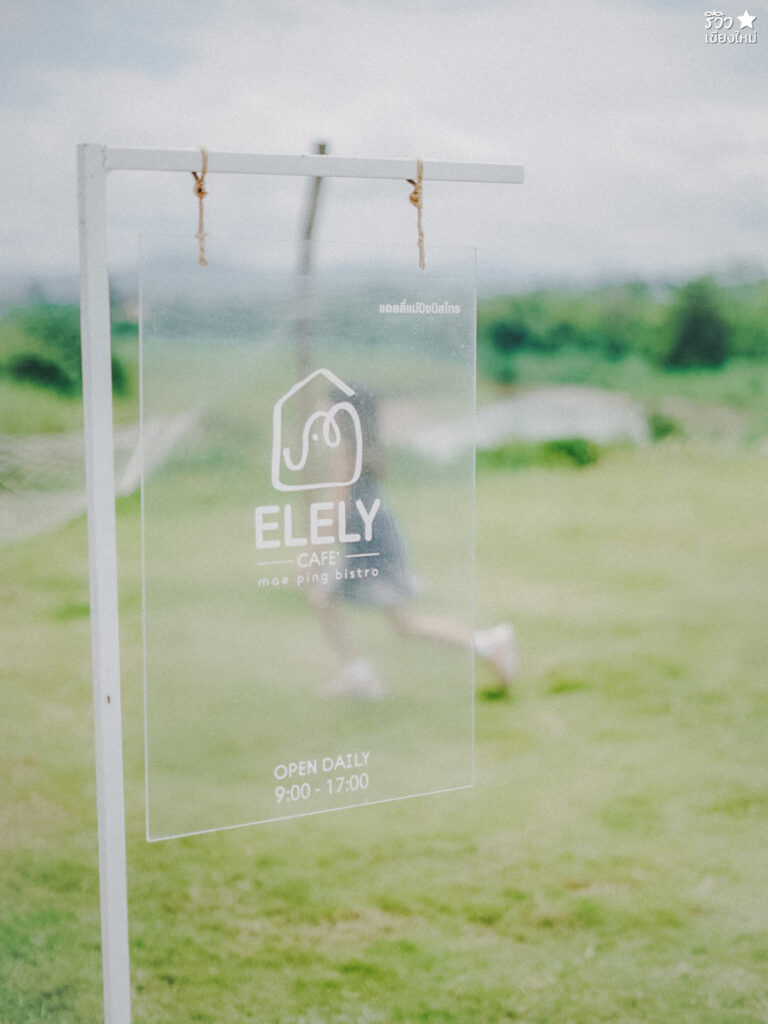 คาเฟ่เชียงใหม่, ช้างไทย, ที่เที่ยว เชียงใหม่, ที่เที่ยวเชียงใหม่, เปิดร้านคาเฟ่ เพื่อเลี้ยงน้องช้าง elely cafe mae ping bistro