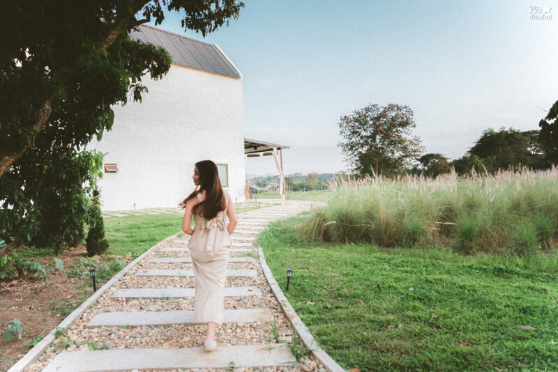 คาเฟ่เชียงใหม่, ช้างไทย, ที่เที่ยว เชียงใหม่, ที่เที่ยวเชียงใหม่, เปิดร้านคาเฟ่ เพื่อเลี้ยงน้องช้าง elely cafe mae ping bistro