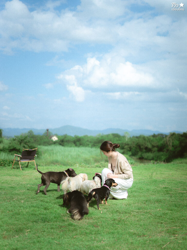 คาเฟ่เชียงใหม่, ช้างไทย, ที่เที่ยว เชียงใหม่, ที่เที่ยวเชียงใหม่, เปิดร้านคาเฟ่ เพื่อเลี้ยงน้องช้าง elely cafe mae ping bistro