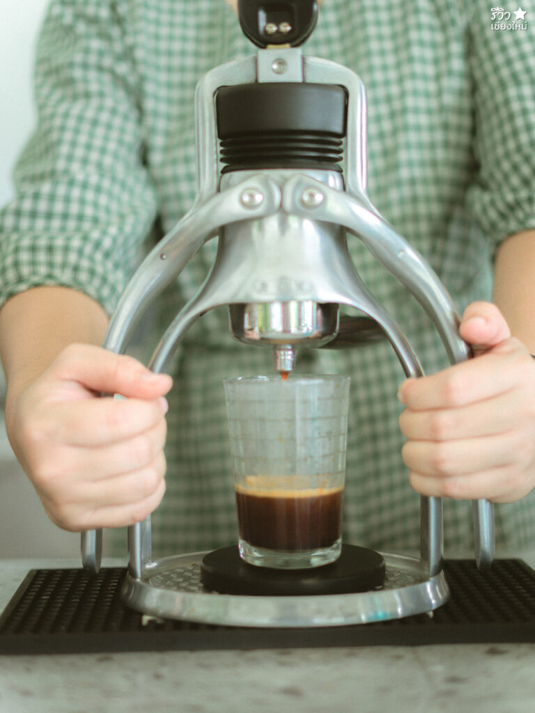 คาเฟ่เชียงใหม่, ช้างไทย, ที่เที่ยว เชียงใหม่, ที่เที่ยวเชียงใหม่, เปิดร้านคาเฟ่ เพื่อเลี้ยงน้องช้าง elely cafe mae ping bistro