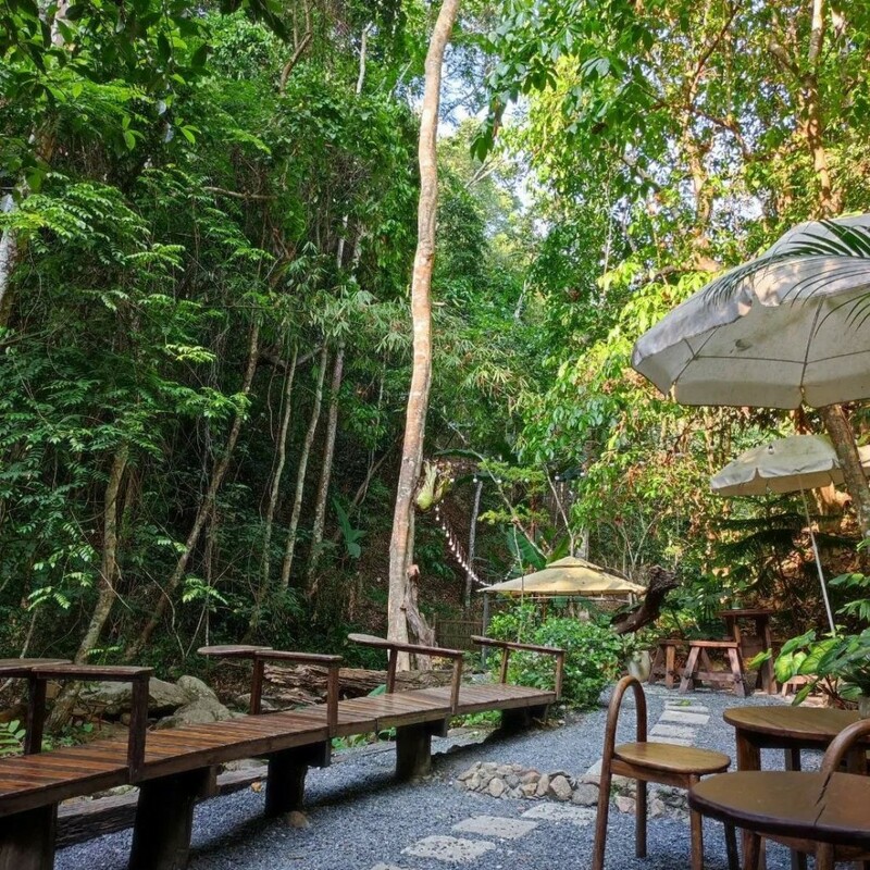 12 feb homey cafe, carp cafe, casa lapin, chez nous, claai cafe&039;& eatery, cypress lanes, early owls, fleur cafe & eatery, gūzen cafe, jinju the orange farm, nern noom cafe, on fleek cafe, on the rock at namphrae, phli, phli : ผลิ 봄 at dollaya, rachel coffee and community, robert bake & brunch, teddu coffee, versailles de flore cafe, wtf coffee camp, กุเซนคาเฟ่, คลาย คาเฟ่แอนด์อีทเทอรี่, คาเฟ่ ใกล้ฉัน, คาเฟ่เชียงใหม่, คาเฟ่เชียงใหม่ 2023, คาเฟ่เชียงใหม่ 2566, คาเฟ่เชียงใหม่ ธรรมชาติ, คาเฟ่เชียงใหม่ นอกเมือง, คาเฟ่เชียงใหม่ นิมมาน, คาเฟ่เชียงใหม่ หางดง, คาเฟ่เชียงใหม่ เปิดใหม่, คาเฟ่เชียงใหม่ ในเมือง, คาเฟ่ใกล้ฉัน, ปางแฟน rock n&039; river, สวนส้มจินจู, สุขพอดี, สุขพอดี simply happy, ออน เดอะ ร็อค คาเฟ่, เชนู คาเฟ่, เนินนุ่ม คาเฟ่, เออร์ลี่ อาวส์, แดนเทวดา, แวร์ซายเดอฟลอเร่, top 20+ คาเฟ่เชียงใหม่ [กรกฎาคม 2024] อัดแน่นทั่วจังหวัด ออกนอกเมือง แต่สวยได้ฟีลเมืองนอกสุด ๆ