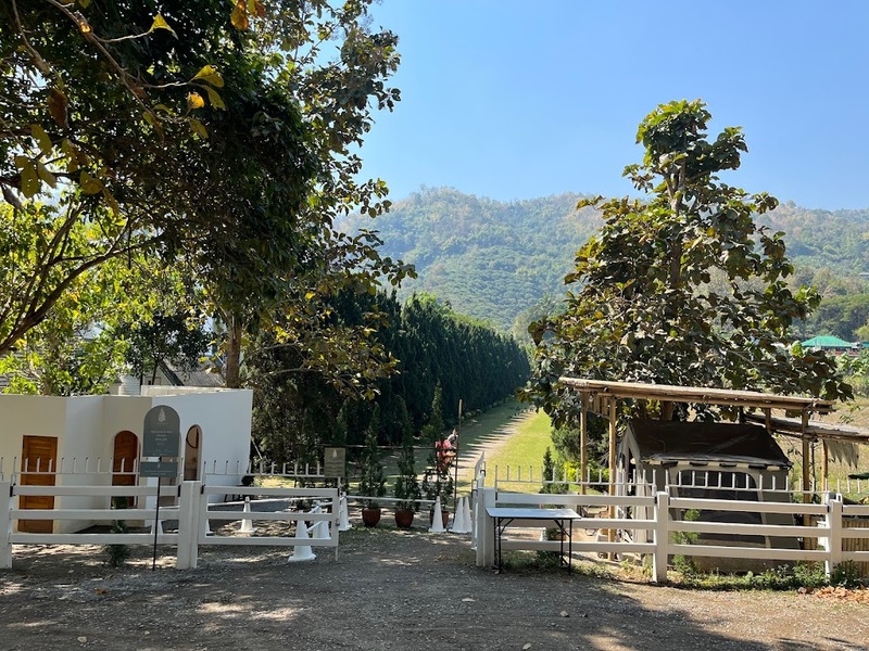 12 feb homey cafe, carp cafe, casa lapin, chez nous, claai cafe&039;& eatery, cypress lanes, early owls, fleur cafe & eatery, gūzen cafe, jinju the orange farm, nern noom cafe, on fleek cafe, on the rock at namphrae, phli, phli : ผลิ 봄 at dollaya, rachel coffee and community, robert bake & brunch, teddu coffee, versailles de flore cafe, wtf coffee camp, กุเซนคาเฟ่, คลาย คาเฟ่แอนด์อีทเทอรี่, คาเฟ่ ใกล้ฉัน, คาเฟ่เชียงใหม่, คาเฟ่เชียงใหม่ 2023, คาเฟ่เชียงใหม่ 2566, คาเฟ่เชียงใหม่ ธรรมชาติ, คาเฟ่เชียงใหม่ นอกเมือง, คาเฟ่เชียงใหม่ นิมมาน, คาเฟ่เชียงใหม่ หางดง, คาเฟ่เชียงใหม่ เปิดใหม่, คาเฟ่เชียงใหม่ ในเมือง, คาเฟ่ใกล้ฉัน, ปางแฟน rock n&039; river, สวนส้มจินจู, สุขพอดี, สุขพอดี simply happy, ออน เดอะ ร็อค คาเฟ่, เชนู คาเฟ่, เนินนุ่ม คาเฟ่, เออร์ลี่ อาวส์, แดนเทวดา, แวร์ซายเดอฟลอเร่, top 20+ คาเฟ่เชียงใหม่ [กรกฎาคม 2024] อัดแน่นทั่วจังหวัด ออกนอกเมือง แต่สวยได้ฟีลเมืองนอกสุด ๆ