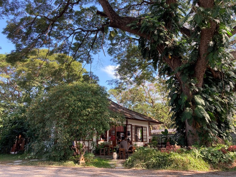 12 feb homey cafe, carp cafe, casa lapin, chez nous, claai cafe&039;& eatery, cypress lanes, early owls, fleur cafe & eatery, gūzen cafe, jinju the orange farm, nern noom cafe, on fleek cafe, on the rock at namphrae, phli, phli : ผลิ 봄 at dollaya, rachel coffee and community, robert bake & brunch, teddu coffee, versailles de flore cafe, wtf coffee camp, กุเซนคาเฟ่, คลาย คาเฟ่แอนด์อีทเทอรี่, คาเฟ่ ใกล้ฉัน, คาเฟ่เชียงใหม่, คาเฟ่เชียงใหม่ 2023, คาเฟ่เชียงใหม่ 2566, คาเฟ่เชียงใหม่ ธรรมชาติ, คาเฟ่เชียงใหม่ นอกเมือง, คาเฟ่เชียงใหม่ นิมมาน, คาเฟ่เชียงใหม่ หางดง, คาเฟ่เชียงใหม่ เปิดใหม่, คาเฟ่เชียงใหม่ ในเมือง, คาเฟ่ใกล้ฉัน, ปางแฟน rock n&039; river, สวนส้มจินจู, สุขพอดี, สุขพอดี simply happy, ออน เดอะ ร็อค คาเฟ่, เชนู คาเฟ่, เนินนุ่ม คาเฟ่, เออร์ลี่ อาวส์, แดนเทวดา, แวร์ซายเดอฟลอเร่, top 20+ คาเฟ่เชียงใหม่ [กรกฎาคม 2024] อัดแน่นทั่วจังหวัด ออกนอกเมือง แต่สวยได้ฟีลเมืองนอกสุด ๆ