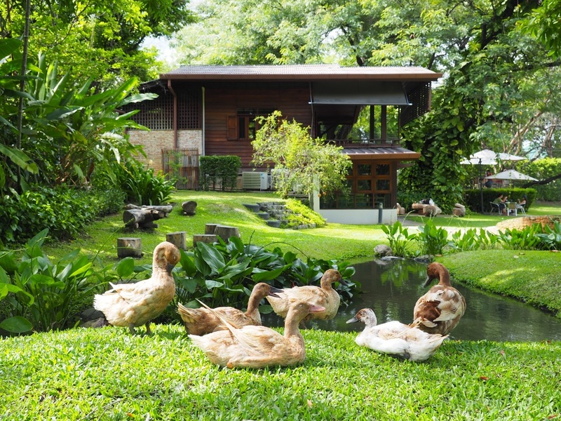 12 feb homey cafe, carp cafe, casa lapin, chez nous, claai cafe&039;& eatery, cypress lanes, early owls, fleur cafe & eatery, gūzen cafe, jinju the orange farm, nern noom cafe, on fleek cafe, on the rock at namphrae, phli, phli : ผลิ 봄 at dollaya, rachel coffee and community, robert bake & brunch, teddu coffee, versailles de flore cafe, wtf coffee camp, กุเซนคาเฟ่, คลาย คาเฟ่แอนด์อีทเทอรี่, คาเฟ่ ใกล้ฉัน, คาเฟ่เชียงใหม่, คาเฟ่เชียงใหม่ 2023, คาเฟ่เชียงใหม่ 2566, คาเฟ่เชียงใหม่ ธรรมชาติ, คาเฟ่เชียงใหม่ นอกเมือง, คาเฟ่เชียงใหม่ นิมมาน, คาเฟ่เชียงใหม่ หางดง, คาเฟ่เชียงใหม่ เปิดใหม่, คาเฟ่เชียงใหม่ ในเมือง, คาเฟ่ใกล้ฉัน, ปางแฟน rock n&039; river, สวนส้มจินจู, สุขพอดี, สุขพอดี simply happy, ออน เดอะ ร็อค คาเฟ่, เชนู คาเฟ่, เนินนุ่ม คาเฟ่, เออร์ลี่ อาวส์, แดนเทวดา, แวร์ซายเดอฟลอเร่, top 20+ คาเฟ่เชียงใหม่ [กรกฎาคม 2024] อัดแน่นทั่วจังหวัด ออกนอกเมือง แต่สวยได้ฟีลเมืองนอกสุด ๆ