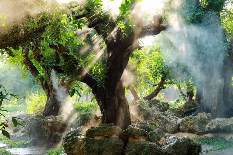 12 feb homey cafe, carp cafe, casa lapin, chez nous, claai cafe&039;& eatery, cypress lanes, early owls, fleur cafe & eatery, gūzen cafe, jinju the orange farm, nern noom cafe, on fleek cafe, on the rock at namphrae, phli, phli : ผลิ 봄 at dollaya, rachel coffee and community, robert bake & brunch, teddu coffee, versailles de flore cafe, wtf coffee camp, กุเซนคาเฟ่, คลาย คาเฟ่แอนด์อีทเทอรี่, คาเฟ่ ใกล้ฉัน, คาเฟ่เชียงใหม่, คาเฟ่เชียงใหม่ 2023, คาเฟ่เชียงใหม่ 2566, คาเฟ่เชียงใหม่ ธรรมชาติ, คาเฟ่เชียงใหม่ นอกเมือง, คาเฟ่เชียงใหม่ นิมมาน, คาเฟ่เชียงใหม่ หางดง, คาเฟ่เชียงใหม่ เปิดใหม่, คาเฟ่เชียงใหม่ ในเมือง, คาเฟ่ใกล้ฉัน, ปางแฟน rock n&039; river, สวนส้มจินจู, สุขพอดี, สุขพอดี simply happy, ออน เดอะ ร็อค คาเฟ่, เชนู คาเฟ่, เนินนุ่ม คาเฟ่, เออร์ลี่ อาวส์, แดนเทวดา, แวร์ซายเดอฟลอเร่, top 20+ คาเฟ่เชียงใหม่ [กรกฎาคม 2024] อัดแน่นทั่วจังหวัด ออกนอกเมือง แต่สวยได้ฟีลเมืองนอกสุด ๆ