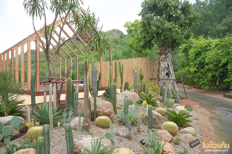 คาเฟ่กาญจนบุรี, chan nature cafe, ชานเนอเจอร์ คาเฟ่, chan nature cafe คาเฟ่ฟีลธรรมชาติ สไตล์นอร์ดิกซ์