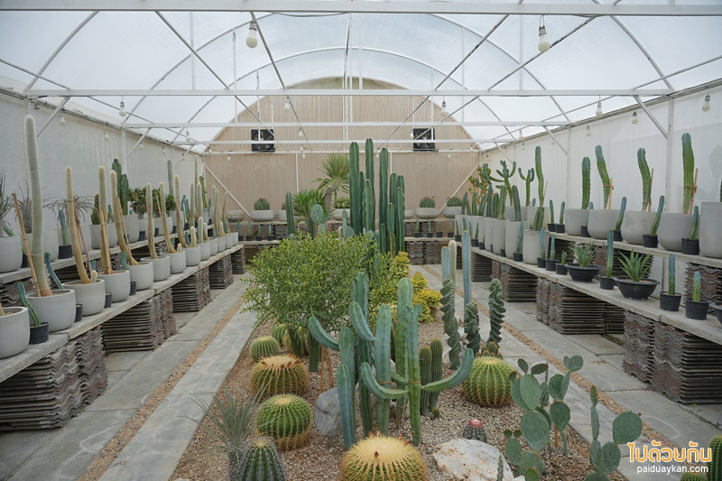 คาเฟ่กาญจนบุรี, chan nature cafe, ชานเนอเจอร์ คาเฟ่, chan nature cafe คาเฟ่ฟีลธรรมชาติ สไตล์นอร์ดิกซ์