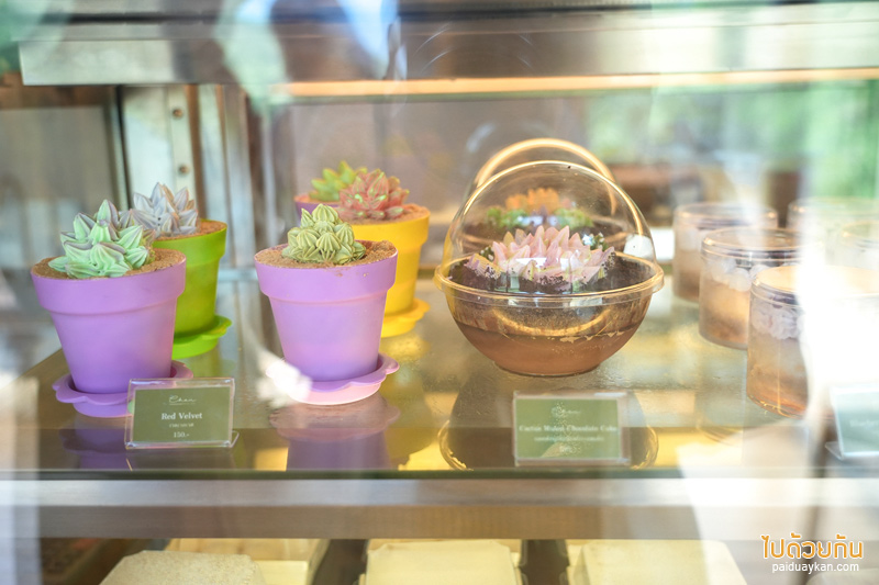 คาเฟ่กาญจนบุรี, chan nature cafe, ชานเนอเจอร์ คาเฟ่, chan nature cafe คาเฟ่ฟีลธรรมชาติ สไตล์นอร์ดิกซ์