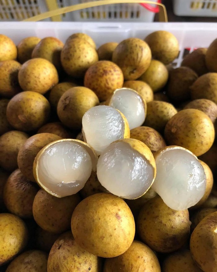 ระยอง, top 7+ บุฟเฟ่ต์ผลไม้ จันทบุรี ระยอง 2567 อร่อยฟินรับฤดูผลไม้ แบบจัดเต็ม