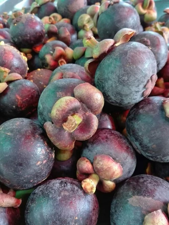 ระยอง, top 7+ บุฟเฟ่ต์ผลไม้ จันทบุรี ระยอง 2567 อร่อยฟินรับฤดูผลไม้ แบบจัดเต็ม