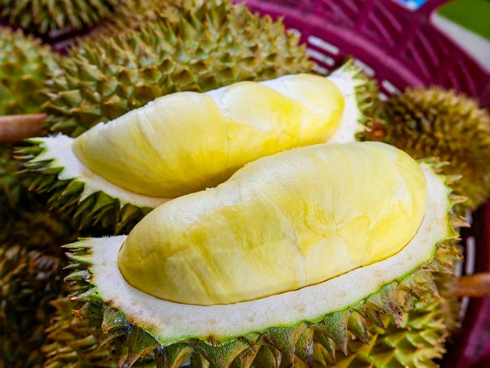 ระยอง, top 7+ บุฟเฟ่ต์ผลไม้ จันทบุรี ระยอง 2567 อร่อยฟินรับฤดูผลไม้ แบบจัดเต็ม