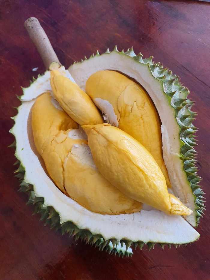 ระยอง, top 7+ บุฟเฟ่ต์ผลไม้ จันทบุรี ระยอง 2567 อร่อยฟินรับฤดูผลไม้ แบบจัดเต็ม