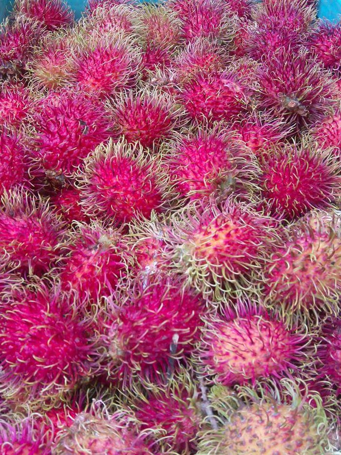 ระยอง, top 7+ บุฟเฟ่ต์ผลไม้ จันทบุรี ระยอง 2567 อร่อยฟินรับฤดูผลไม้ แบบจัดเต็ม