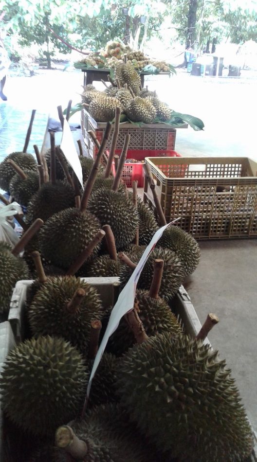 ระยอง, top 7+ บุฟเฟ่ต์ผลไม้ จันทบุรี ระยอง 2567 อร่อยฟินรับฤดูผลไม้ แบบจัดเต็ม