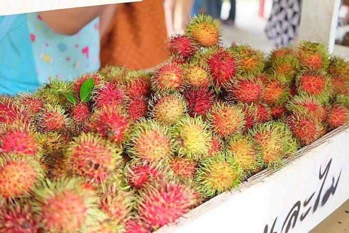 ระยอง, top 7+ บุฟเฟ่ต์ผลไม้ จันทบุรี ระยอง 2567 อร่อยฟินรับฤดูผลไม้ แบบจัดเต็ม