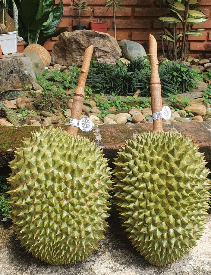 ระยอง, top 7+ บุฟเฟ่ต์ผลไม้ จันทบุรี ระยอง 2567 อร่อยฟินรับฤดูผลไม้ แบบจัดเต็ม