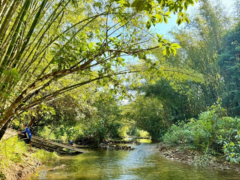 andaman view point phangnga, memories beach bar, กองหินริเชลิว, จุดชมวิว 360 องศา, จุดชมวิวของเสม็ดนางชีบูติค, จุดชมวิวเสม็ดนางชี, ชาวมอแกน, ที่เที่ยวพังงา, ที่เที่ยวพังงา 2024, ที่เที่ยวพังงา 2567, น้ำตกลำปี, ประภาคารเขาหลัก, ปันหยี, พังงา, พังงา 2024, พังงา 2567, ล่องแพไม้ไผ่วังเคียงคู่, วัดถ้ำ พังงา, วัดถ้ำสุวรรณคูหา, วัดสุวรรณคูหา, สวนน้ำจุดชมวิว 360 องศา, สะพานไม้เขาปิหลาย, สันหลังมังกร พังงา, หมู่บ้านมอแกน, หมู่เกาะสิมิลัน, หมู่เกาะสุรินทร์, หาดทรายดำ เขาหลัก, หาดทรายสีดำ, หาดนางทอง, หาดเขาปิหลาย, หินเรือใบ, อ่าวพังงา, อุทยานแห่งชาติหมู่เกาะสิมิลัน, อุทยานแห่งชาติอ่าวพังงา, เกาะปะการัง, เกาะปันหยี, เกาะยาว, เกาะยาวน้อย, เกาะยาวใหญ่, เกาะสิมิลัน, เกาะสุรินทร์เหนือ, เกาะสุรินทร์ใต้, เกาะเจมส์บอนด์, เกาะแปด, เขาตะปู, เขาตาปู, เขาพิงกัน, เที่ยวพังงา, เที่ยวพังงา 2024, เที่ยวพังงา 2567, เมโมรี่บีชบาร์, เสม็ดนางชี, top 15+ ที่เที่ยวพังงา [กรกฎาคม 2024] เมืองแห่งเกาะสวยงาม ความอุดมสมบูรณ์ทางทะเลที่ไม่ควรพลาด