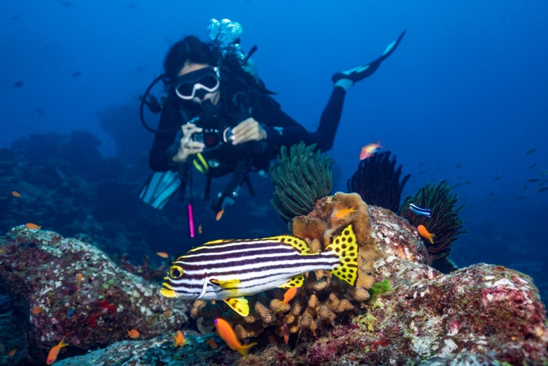 andaman view point phangnga, memories beach bar, กองหินริเชลิว, จุดชมวิว 360 องศา, จุดชมวิวของเสม็ดนางชีบูติค, จุดชมวิวเสม็ดนางชี, ชาวมอแกน, ที่เที่ยวพังงา, ที่เที่ยวพังงา 2024, ที่เที่ยวพังงา 2567, น้ำตกลำปี, ประภาคารเขาหลัก, ปันหยี, พังงา, พังงา 2024, พังงา 2567, ล่องแพไม้ไผ่วังเคียงคู่, วัดถ้ำ พังงา, วัดถ้ำสุวรรณคูหา, วัดสุวรรณคูหา, สวนน้ำจุดชมวิว 360 องศา, สะพานไม้เขาปิหลาย, สันหลังมังกร พังงา, หมู่บ้านมอแกน, หมู่เกาะสิมิลัน, หมู่เกาะสุรินทร์, หาดทรายดำ เขาหลัก, หาดทรายสีดำ, หาดนางทอง, หาดเขาปิหลาย, หินเรือใบ, อ่าวพังงา, อุทยานแห่งชาติหมู่เกาะสิมิลัน, อุทยานแห่งชาติอ่าวพังงา, เกาะปะการัง, เกาะปันหยี, เกาะยาว, เกาะยาวน้อย, เกาะยาวใหญ่, เกาะสิมิลัน, เกาะสุรินทร์เหนือ, เกาะสุรินทร์ใต้, เกาะเจมส์บอนด์, เกาะแปด, เขาตะปู, เขาตาปู, เขาพิงกัน, เที่ยวพังงา, เที่ยวพังงา 2024, เที่ยวพังงา 2567, เมโมรี่บีชบาร์, เสม็ดนางชี, top 15+ ที่เที่ยวพังงา [กรกฎาคม 2024] เมืองแห่งเกาะสวยงาม ความอุดมสมบูรณ์ทางทะเลที่ไม่ควรพลาด