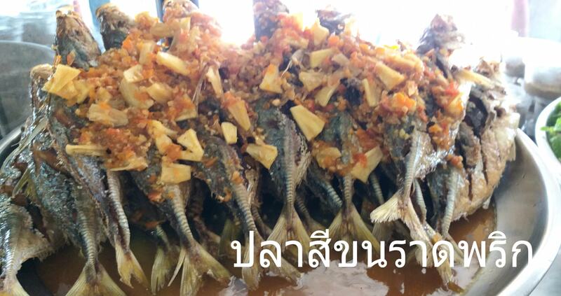 ร้านข้าวต้ม พัทยา : รวมร้านข้าวต้มเจ้าเด็ด เจ้าดัง ขาประจำพัทยาต้องรู็จัก! (พิกัด พัทยา-ชลบุรี)