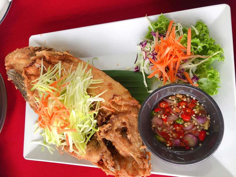 คาเฟ่พัทลุง, ร้านกาแฟพัทลุง, เที่ยวพัทลุง, top 15+ คาเฟ่พัทลุง นั่งจิบเครื่องดื่ม ถ่ายรูปชิค