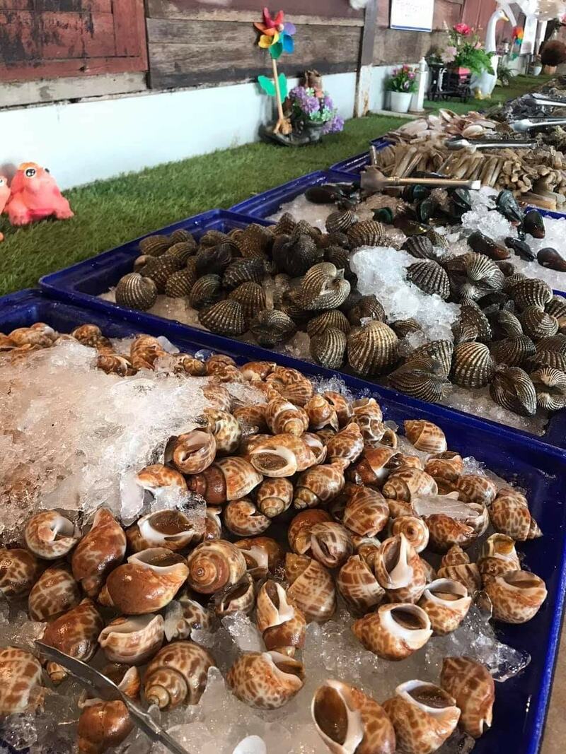 top 8+ ร้านอาหารติดทะเลหาดจอมเทียน พัทยา พิกัดใกล้กรุงเทพฯ ต้องมา!!!