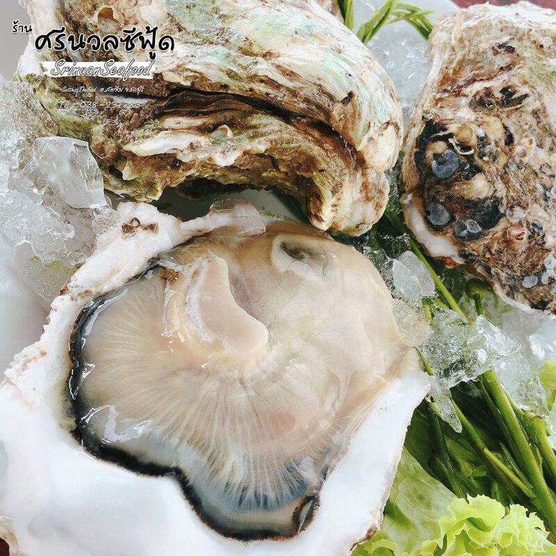 top 8+ ร้านอาหารติดทะเลหาดจอมเทียน พัทยา พิกัดใกล้กรุงเทพฯ ต้องมา!!!