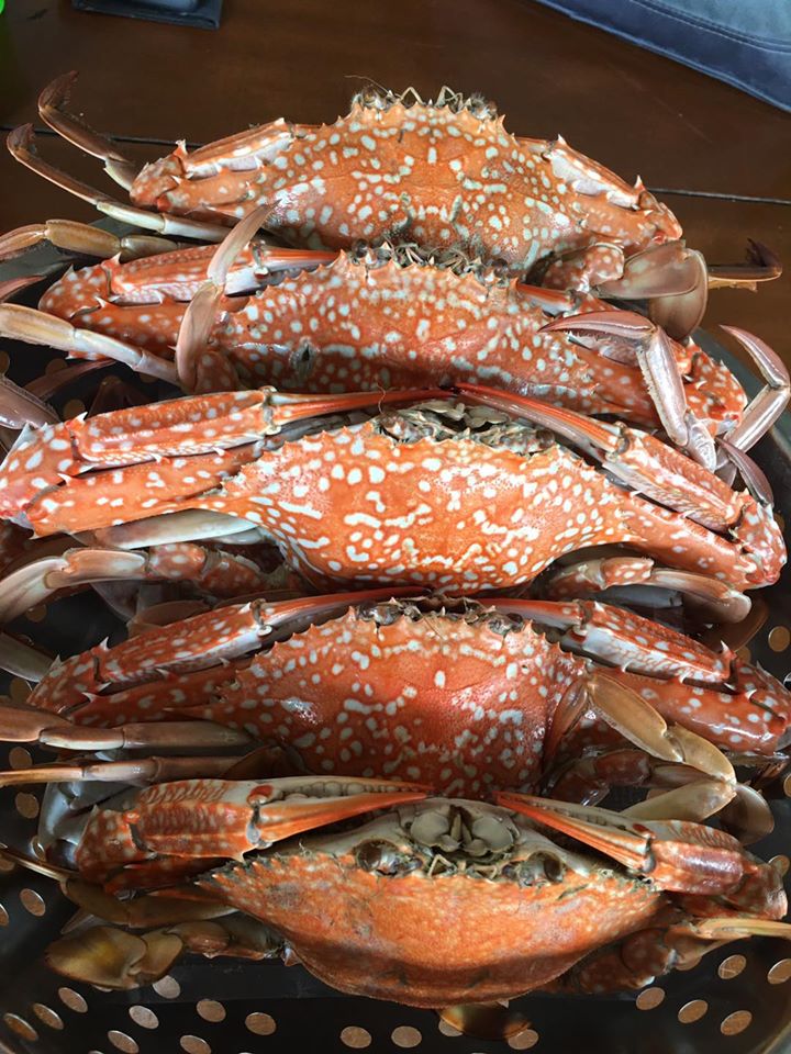 ร้านอาหารทะเลตราด สดฉ่ำสุดฟิน เตรียมไปเช็คอินความอร่อย