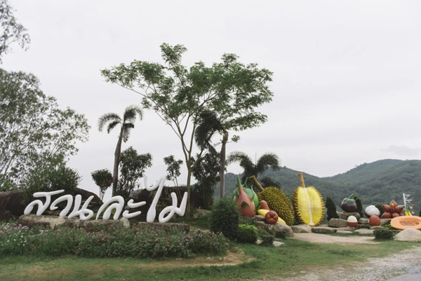 ระยอง, top 6+ สวนบุฟเฟต์ผลไม้ 2024 บุฟเฟต์ทุเรียน ราคาเดียวกินได้ไม่มีอั้น