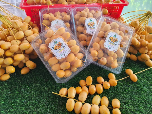 ระยอง, top 6+ สวนบุฟเฟต์ผลไม้ 2024 บุฟเฟต์ทุเรียน ราคาเดียวกินได้ไม่มีอั้น