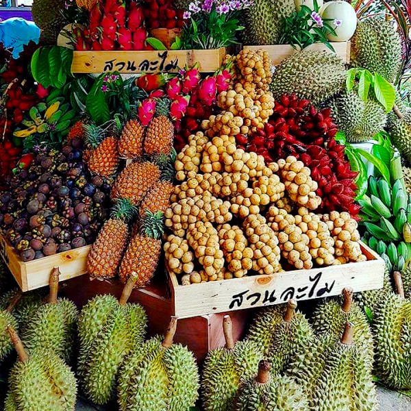 ระยอง, top 6+ สวนบุฟเฟต์ผลไม้ 2024 บุฟเฟต์ทุเรียน ราคาเดียวกินได้ไม่มีอั้น