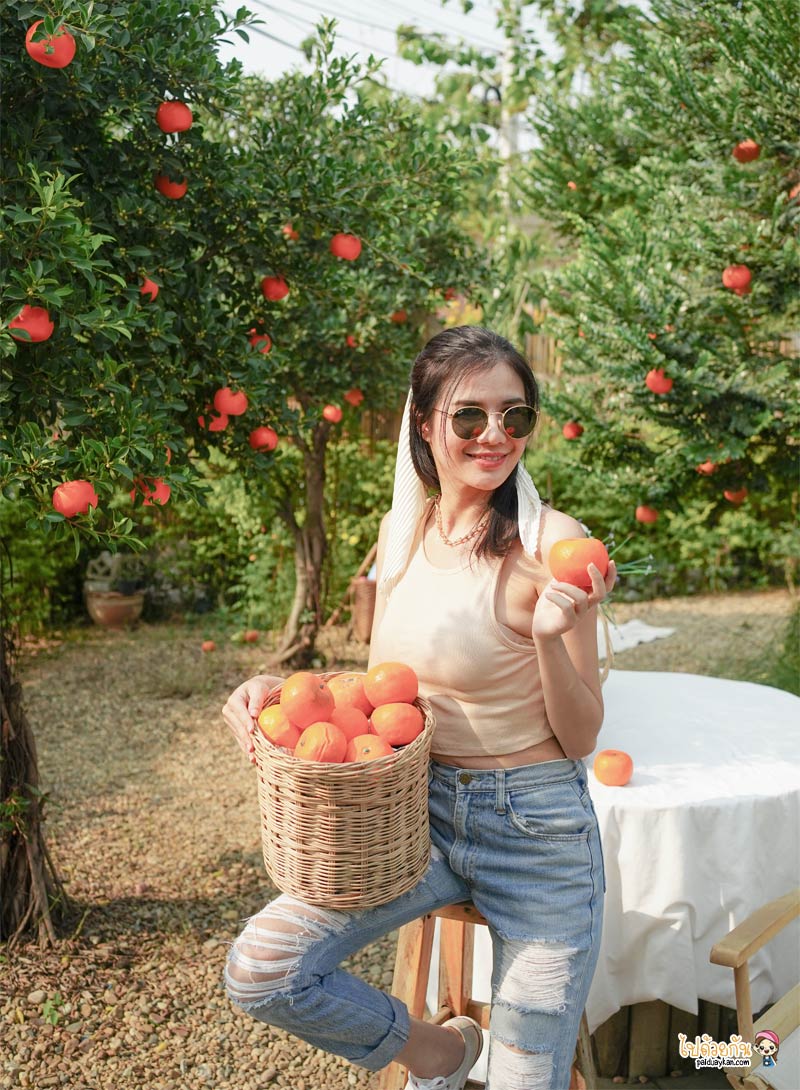 ร้านกาแฟนครปฐม, คาเฟ่นครปฐม, april flavors นครปฐม, คาเฟ่สวนส้มนครปฐม, april flavors  คาเฟ่สวนส้มสุดคิวท์