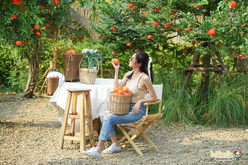 ร้านกาแฟนครปฐม, คาเฟ่นครปฐม, april flavors นครปฐม, คาเฟ่สวนส้มนครปฐม, april flavors  คาเฟ่สวนส้มสุดคิวท์