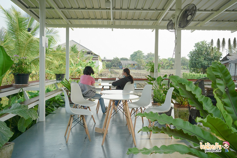 ร้านกาแฟนครปฐม, คาเฟ่นครปฐม, april flavors นครปฐม, คาเฟ่สวนส้มนครปฐม, april flavors  คาเฟ่สวนส้มสุดคิวท์