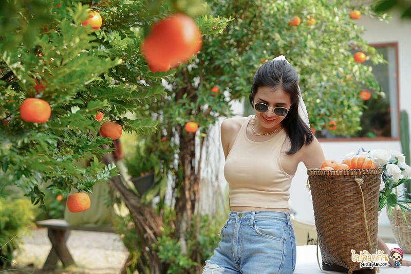 ร้านกาแฟนครปฐม, คาเฟ่นครปฐม, april flavors นครปฐม, คาเฟ่สวนส้มนครปฐม, april flavors  คาเฟ่สวนส้มสุดคิวท์