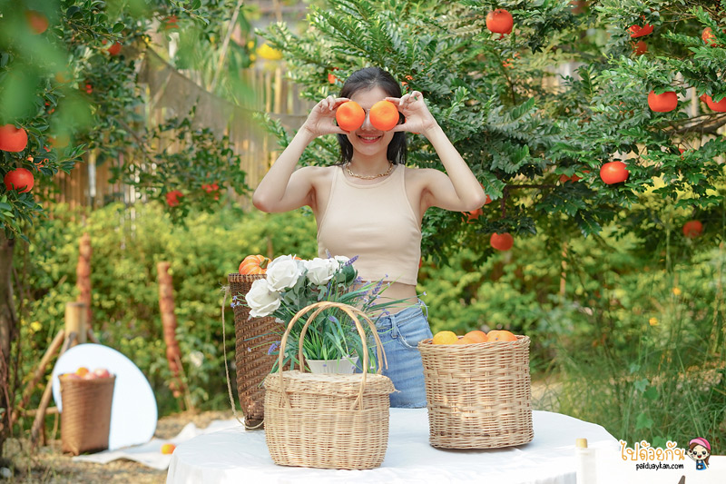 ร้านกาแฟนครปฐม, คาเฟ่นครปฐม, april flavors นครปฐม, คาเฟ่สวนส้มนครปฐม, april flavors  คาเฟ่สวนส้มสุดคิวท์