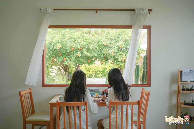 ร้านกาแฟนครปฐม, คาเฟ่นครปฐม, april flavors นครปฐม, คาเฟ่สวนส้มนครปฐม, april flavors  คาเฟ่สวนส้มสุดคิวท์