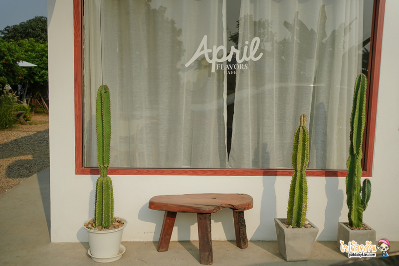 ร้านกาแฟนครปฐม, คาเฟ่นครปฐม, april flavors นครปฐม, คาเฟ่สวนส้มนครปฐม, april flavors  คาเฟ่สวนส้มสุดคิวท์