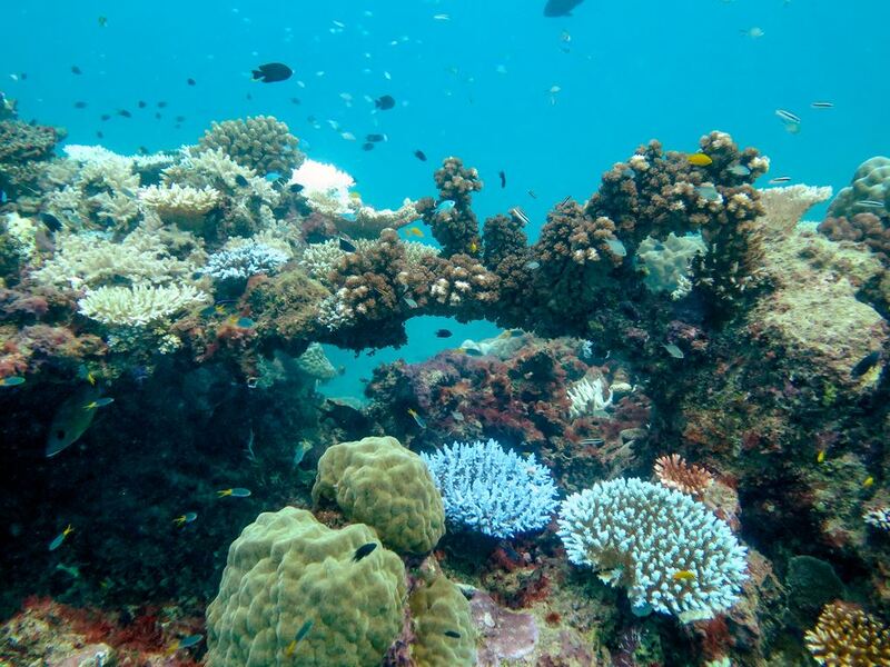 australia 2023, australian grand prix, botanical garden, brisbane, flinders street station, formula one, gallery of modern art, gold coast, hosier lane, melbourne, museum of contemporary art sydney, queen victoria market, queensland museum, st paul’s cathedral, streets beach, sydney, sydney opera house, taronga zoo, warner brothers movie world, wet&039;n&039;wild water world, ซิดนีย์, ซิดนีย์โอเปร่าเฮาส์, ตลาดควีนวิคตอเรีย, บริสเบน, พิพิธภัณฑ์ควีนส์แลนด์, วีซ่าท่องเที่ยวออสเตรเลีย, สตรีทส์ บีช, สวนสัตว์ทารองกา, สะพานฮาร์เบอร์ บริดจ์, ออสเตรเลีย 2024, ออสเตรเลีย 2567, อาสนวิหารเซนต์พอล, เที่ยวออสเตรเลีย, เมลเบิร์น, แม่น้ำยาร์รา, โกลด์ โคสต์, โฮซิเออร์ เลน, top 8+ ที่เที่ยวออสเตรเลีย 2024 เมืองที่ห้ามพลาด ชมพิพิธภัณฑ์สุดฮิป เดินเที่ยวชายหาดและเล่นเซิร์ฟ