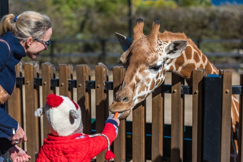australia 2023, australian grand prix, botanical garden, brisbane, flinders street station, formula one, gallery of modern art, gold coast, hosier lane, melbourne, museum of contemporary art sydney, queen victoria market, queensland museum, st paul’s cathedral, streets beach, sydney, sydney opera house, taronga zoo, warner brothers movie world, wet&039;n&039;wild water world, ซิดนีย์, ซิดนีย์โอเปร่าเฮาส์, ตลาดควีนวิคตอเรีย, บริสเบน, พิพิธภัณฑ์ควีนส์แลนด์, วีซ่าท่องเที่ยวออสเตรเลีย, สตรีทส์ บีช, สวนสัตว์ทารองกา, สะพานฮาร์เบอร์ บริดจ์, ออสเตรเลีย 2024, ออสเตรเลีย 2567, อาสนวิหารเซนต์พอล, เที่ยวออสเตรเลีย, เมลเบิร์น, แม่น้ำยาร์รา, โกลด์ โคสต์, โฮซิเออร์ เลน, top 8+ ที่เที่ยวออสเตรเลีย 2024 เมืองที่ห้ามพลาด ชมพิพิธภัณฑ์สุดฮิป เดินเที่ยวชายหาดและเล่นเซิร์ฟ