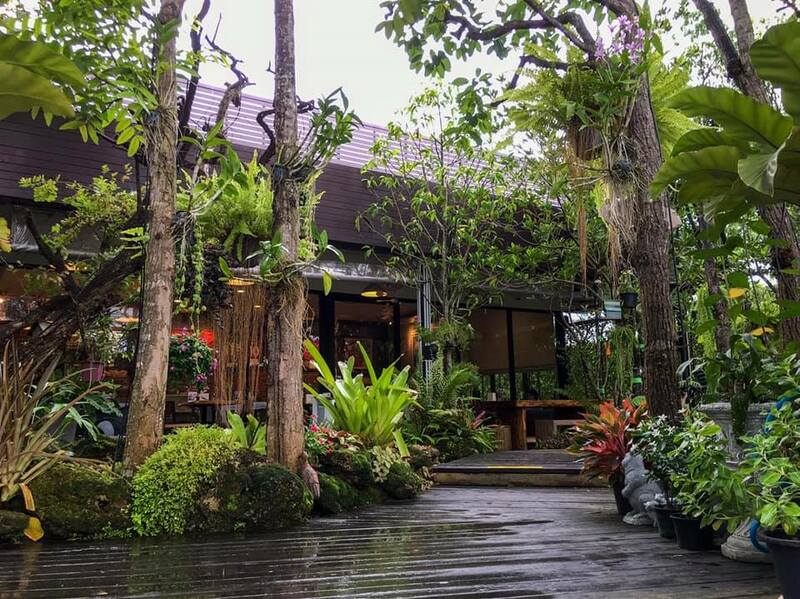 ร้านอาหารในสวน บรรยากาศดีในกรุงเทพ นั่งชิลได้ทั้งกลุ่มเพื่อนและครอบครัว