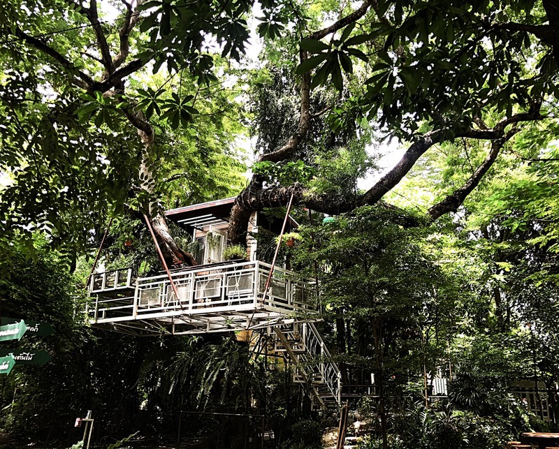 ร้านอาหารในสวน บรรยากาศดีในกรุงเทพ นั่งชิลได้ทั้งกลุ่มเพื่อนและครอบครัว