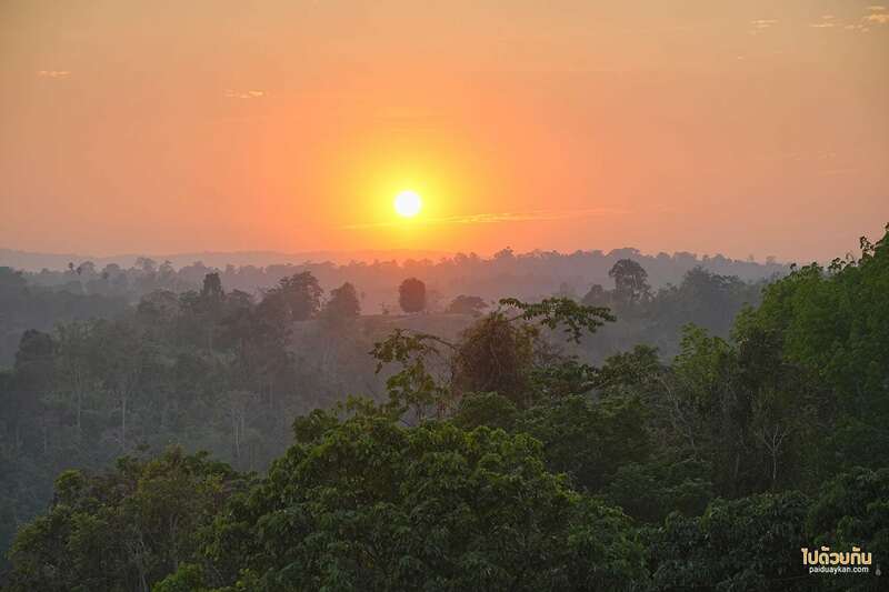 ที่พักวังน้ำเขียว, วังน้ำเขียว, ไร่รวยริน, ไร่รวยริน ที่พักรถบ้าน มองวิวเขาชมธรรมชาติ