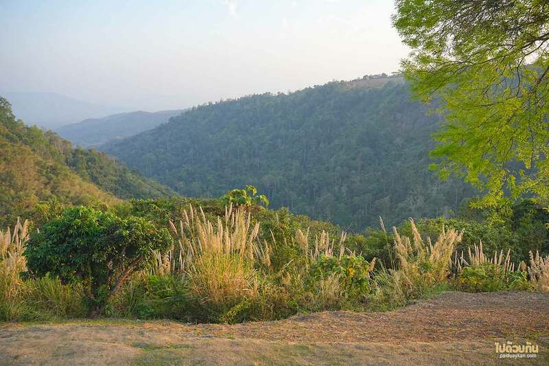 ที่พักวังน้ำเขียว, วังน้ำเขียว, ไร่รวยริน, ไร่รวยริน ที่พักรถบ้าน มองวิวเขาชมธรรมชาติ