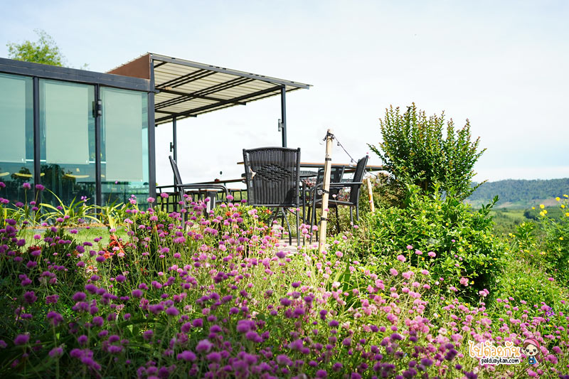 เที่ยวน้ำหนาว, coffee view น้ำหนาว, ร้านกาแฟน้ำหนาว, coffee view น้ำหนาว