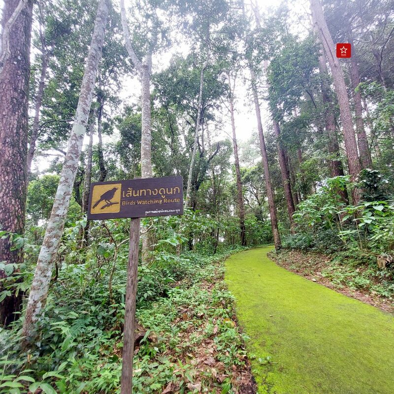 reviewchiangmai, จุดชมวิวเชียงใหม่, ดอยปุย, ดอยสุเทพ, ดอยหัวหมู, ที่เที่ยวเชียงใหม่, ผาเงิบ, ม่อนผาดำ, รีวิวเชียงใหม่, วังบัวบาน, แอ่วได้แอ่วดี, เที่ยวเชียงใหม่ 5 จุดชมวิว ดอยสุเทพ – ดอยปุย