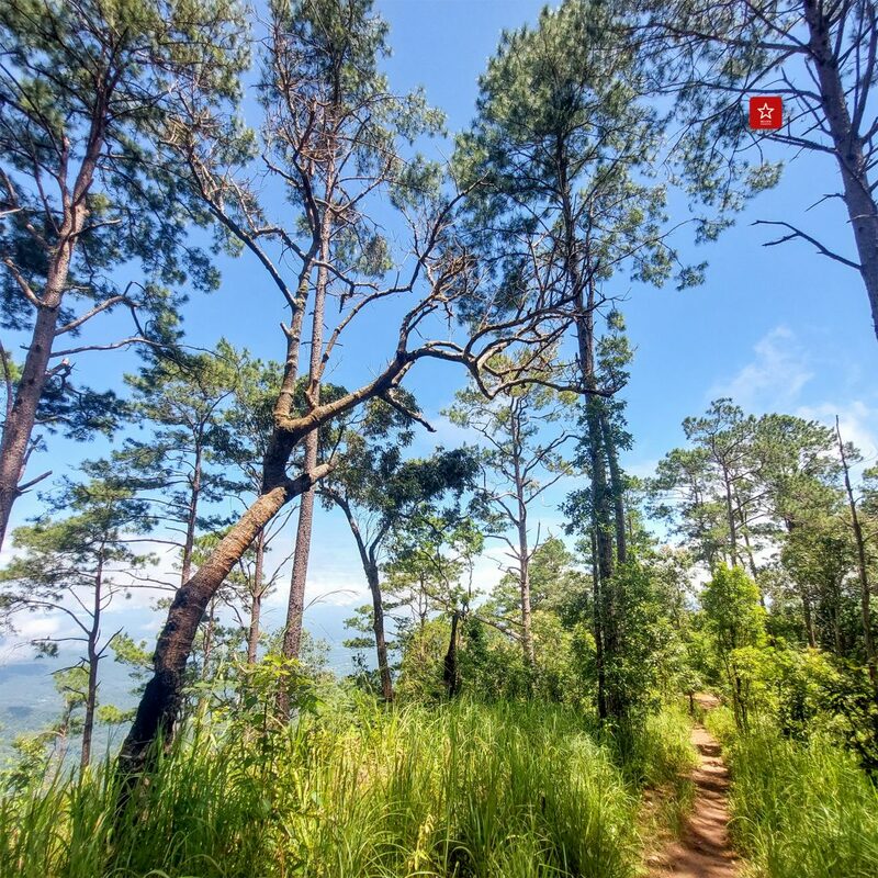 reviewchiangmai, จุดชมวิวเชียงใหม่, ดอยปุย, ดอยสุเทพ, ดอยหัวหมู, ที่เที่ยวเชียงใหม่, ผาเงิบ, ม่อนผาดำ, รีวิวเชียงใหม่, วังบัวบาน, แอ่วได้แอ่วดี, เที่ยวเชียงใหม่ 5 จุดชมวิว ดอยสุเทพ – ดอยปุย