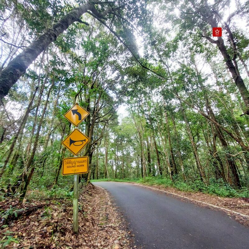 reviewchiangmai, จุดชมวิวเชียงใหม่, ดอยปุย, ดอยสุเทพ, ดอยหัวหมู, ที่เที่ยวเชียงใหม่, ผาเงิบ, ม่อนผาดำ, รีวิวเชียงใหม่, วังบัวบาน, แอ่วได้แอ่วดี, เที่ยวเชียงใหม่ 5 จุดชมวิว ดอยสุเทพ – ดอยปุย