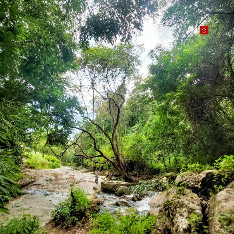 reviewchiangmai, จุดชมวิวเชียงใหม่, ดอยปุย, ดอยสุเทพ, ดอยหัวหมู, ที่เที่ยวเชียงใหม่, ผาเงิบ, ม่อนผาดำ, รีวิวเชียงใหม่, วังบัวบาน, แอ่วได้แอ่วดี, เที่ยวเชียงใหม่ 5 จุดชมวิว ดอยสุเทพ – ดอยปุย