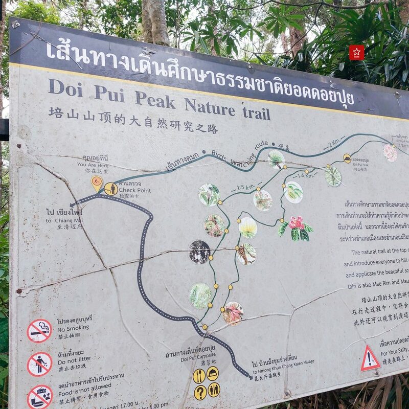 reviewchiangmai, จุดชมวิวเชียงใหม่, ดอยปุย, ดอยสุเทพ, ดอยหัวหมู, ที่เที่ยวเชียงใหม่, ผาเงิบ, ม่อนผาดำ, รีวิวเชียงใหม่, วังบัวบาน, แอ่วได้แอ่วดี, เที่ยวเชียงใหม่ 5 จุดชมวิว ดอยสุเทพ – ดอยปุย