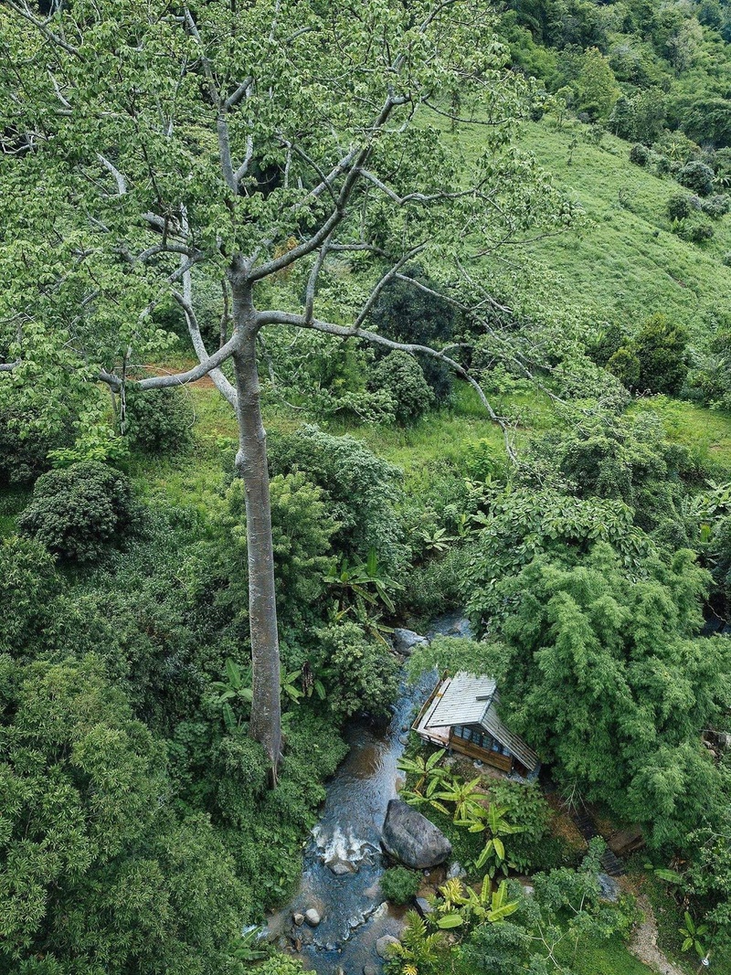 ที่พักแม่แตง, ที่พักแม่แตง 2024, ที่พักแม่แตง 2567, ที่พักแม่แตง ติดลําธาร, ที่พักแม่แตง มีอ่าง, ที่พักแม่แตง ริมน้ำ, ที่พักแม่แตง ริมน้ำ 2024, ที่พักแม่แตง ริมน้ำ 2567, ที่พักแม่แตง เชียงใหม่, แม่แตง, top 10+ ที่พักแม่แตง เชียงใหม่ [กรกฎาคม 2024] นอนฟิน บรรยากาศชิล ใกล้ชิดธรรมชาติ